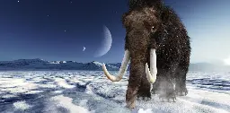 Did inbreeding cause the woolly mammoth’s extinction? Our research suggests it was more sudden than that