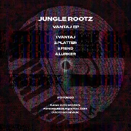 Vantaj EP, by Jungle Rootz