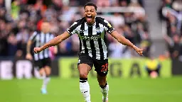 Newcastle United 4 Crystal Palace 0