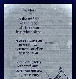 The Nose