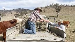 'A major drought event is forming': Why farmers fear history is repeating itself