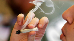 Daily marijuana use linked to high risk of certain cancers, study finds