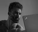 Hymenopterror