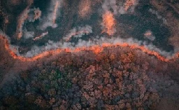 Dryad Networks Introduces Third-Generation Silvanet Gateways for Optimal Ultra-Early Wildfire Detection and Forest Management