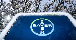 Bayer plombé par la chute des ventes de glyphosate au deuxième trimestre