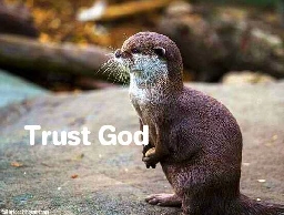 Trust God otter