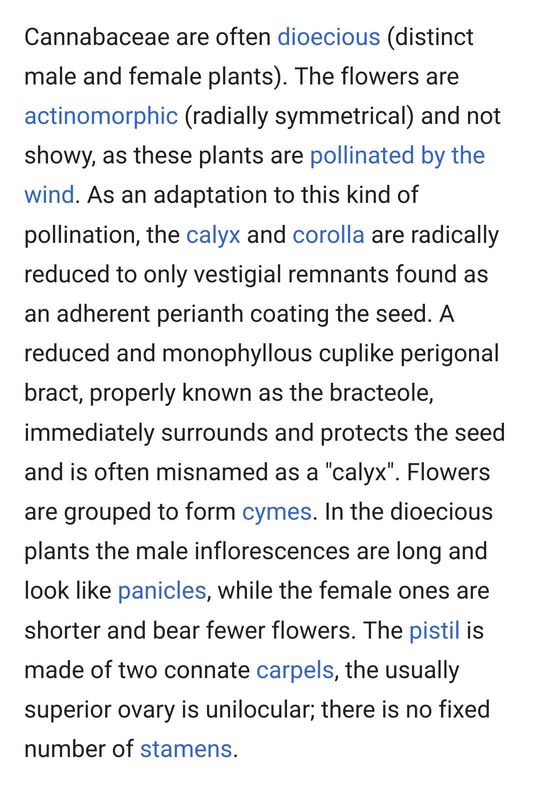 Calyx