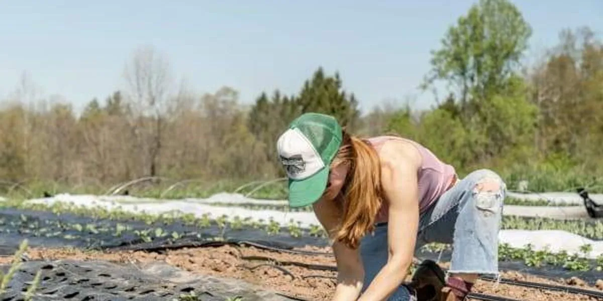 Texas leads the nation as the No. 1 best state for homesteading