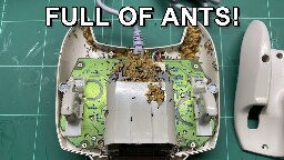 Entire Ant colony living in a Sega Dreamcast Controller