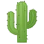 saguaro