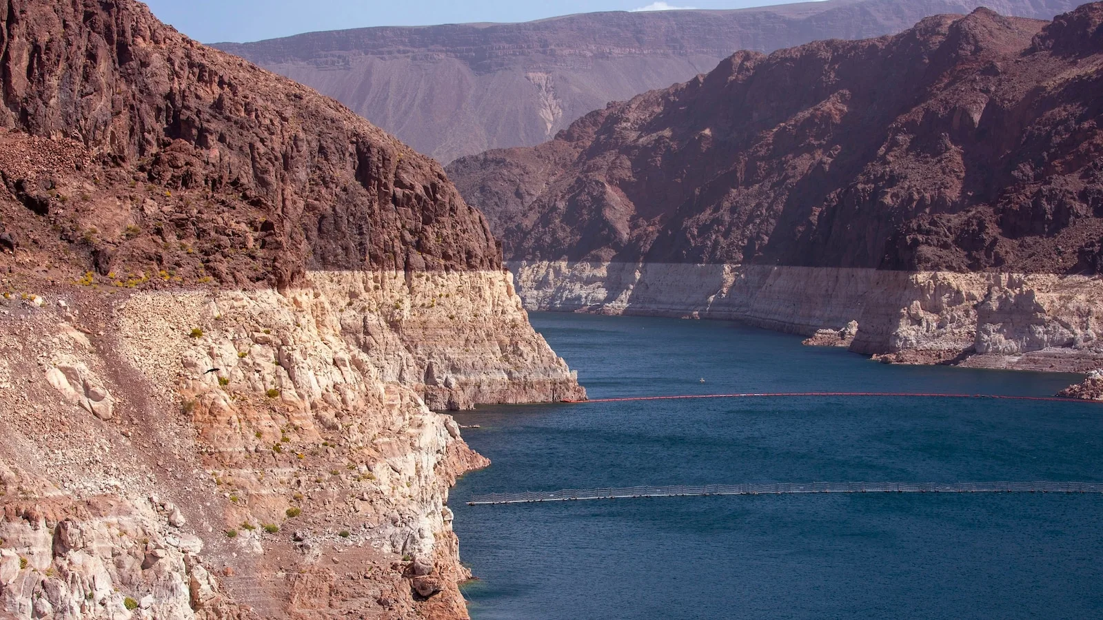 More than half of water from Colorado River used for agriculture industry, report finds