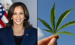 Where Kamala Harris Stands On Marijuana As She Prepares To Accept The Democratic Presidential Nomination - Marijuana Moment
