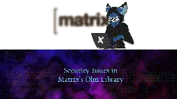 Security Issues in Matrix’s Olm Library - Dhole Moments