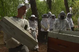 VIDEO. "Les abeilles c’est la vie sur terre" : de plus en plus de particuliers se forment à l’apiculture