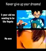 Vegeta Hairline