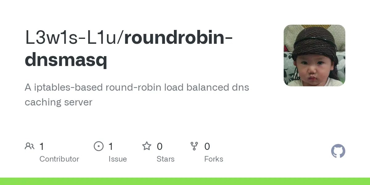 GitHub - L3w1s-L1u/roundrobin-dnsmasq: A iptables-based round-robin load balanced dns caching server