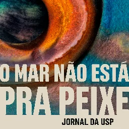 O Mar Não Está Pra Peixe #2: Entre a rede e o anzol