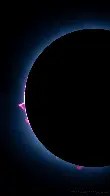 2024 Eclipse - Prominences