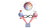 Researchers demonstrate that quantum entanglement and topology are inextricably linked