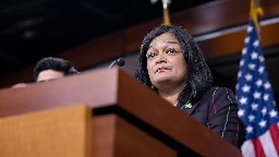 Jayapal: US-led strikes on Yemen ‘an unacceptable violation’ of Constitution