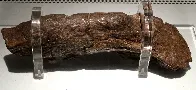 Lloyds Bank coprolite is the largest palaeofaeces yet discovered