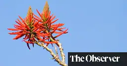 Botanists vote to remove racist reference from plants’ scientific names