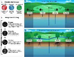 Stakeholder integration predicts better outcomes from groundwater sustainability policy - Nature Communications