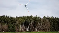 Warum der Windkraftausbau in Bayerns Staatswald stockt