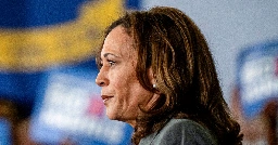 'Ludicrous': Donors leave call with Kamala Harris frustrated and annoyed