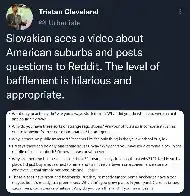 Slovakian sees a video about American suburbs