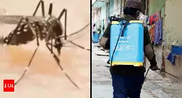 Karnataka declares dengue epidemic; imposes fine for mosquito breeding spots at homes, shops | Bengaluru News - Times of India