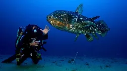 The deep ocean photographer that captured a 'living fossil'