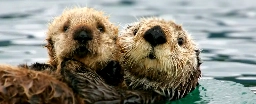 Thriving Otters in North America Linked to Nuclear Weapons Tests. Here's Why.