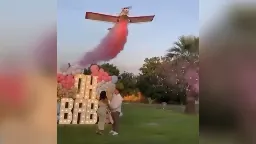 Pilot dies after plane crashes during gender reveal party in Mexico | CNN