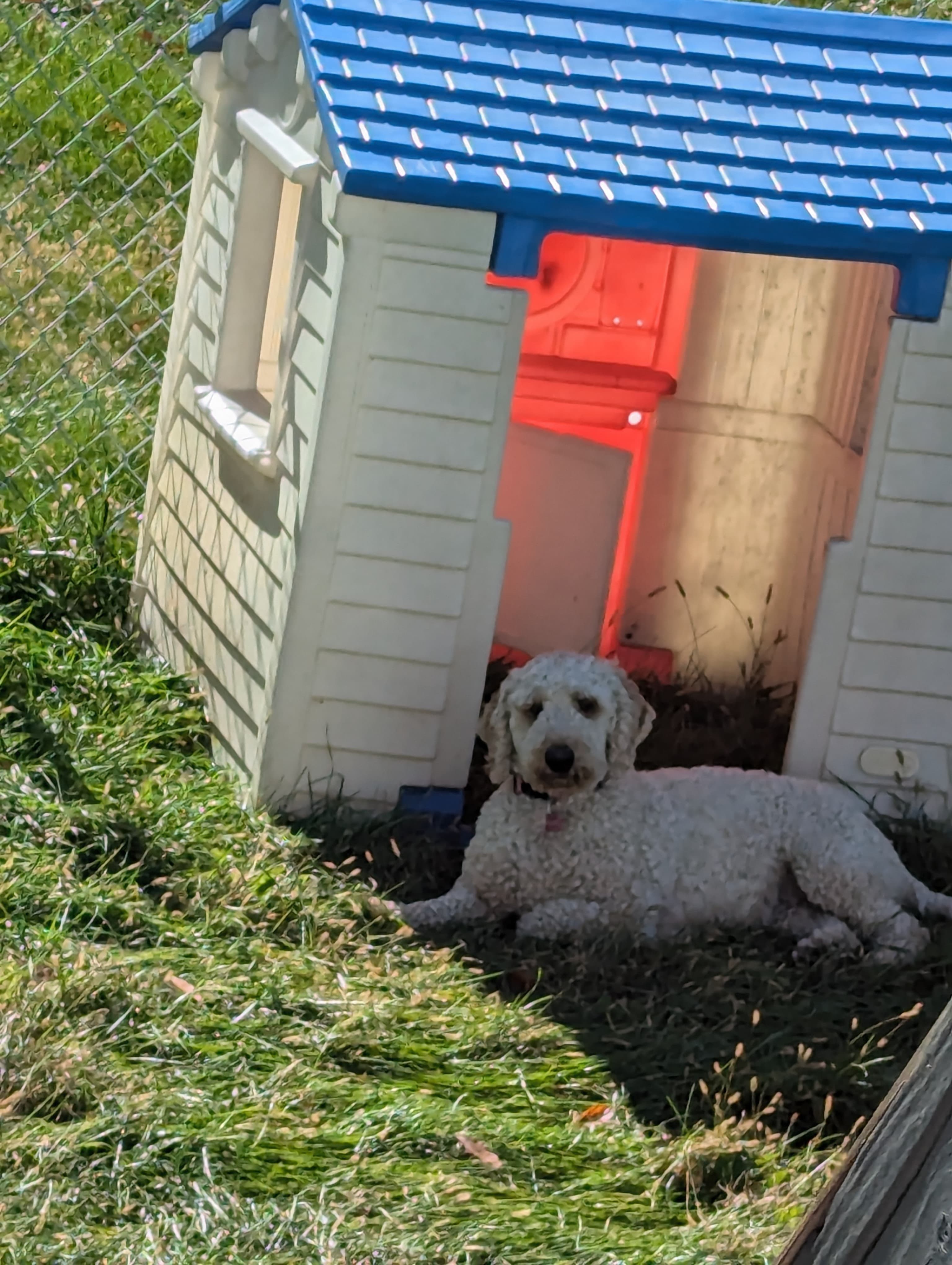 Rosie loves the playhouse I got for her and her brother