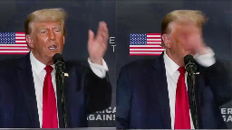 Trump Gets Attacked By Flies During Speech — Makes Bizarre Claim About Pest Control Products
