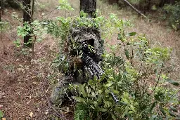 US Marine Corps scout sniper candidate holds completely still before firing on his target from a concealed location, Camp Lejeune, North Carolina, 2015 [1000x667]