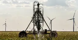 As Texas swelters, crops and cattle are increasingly at risk