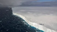 World's largest iceberg on crash course with island, putting millions of penguins in danger