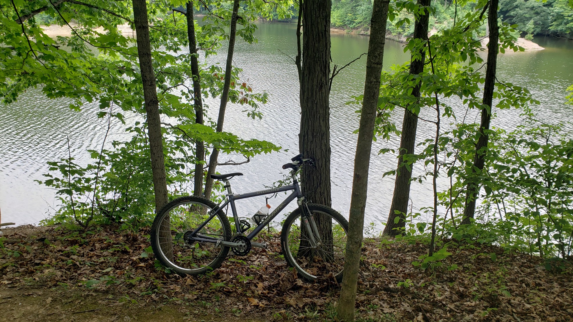 Sunday Afternoon on the trail