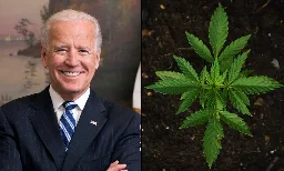 Biden Stands To Gain Double-Digit Political Support If Marijuana Is Rescheduled, Poll Of Likely Voters Shows - Marijuana Moment