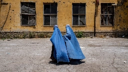 Two years into Taliban rule, Afghan women ask Canada for education and accountability