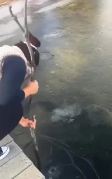 WCGW, poking a stick through ice?